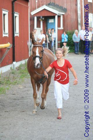 IMG_8689.JPG