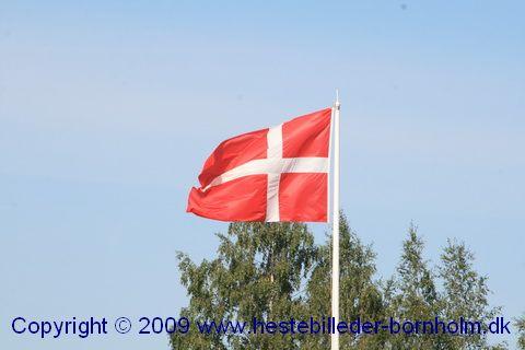 IMG_9203.JPG