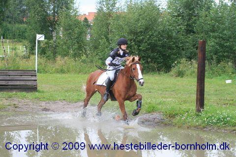 IMG_0193.JPG