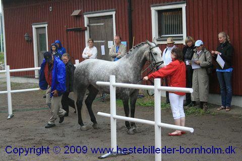 IMG_0376.JPG