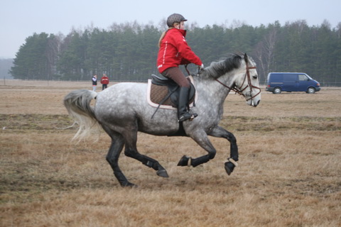 IMG_4346.JPG