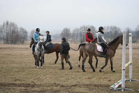 IMG_4384.JPG