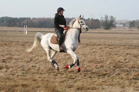 IMG_4663.JPG