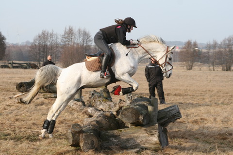 IMG_4667.JPG