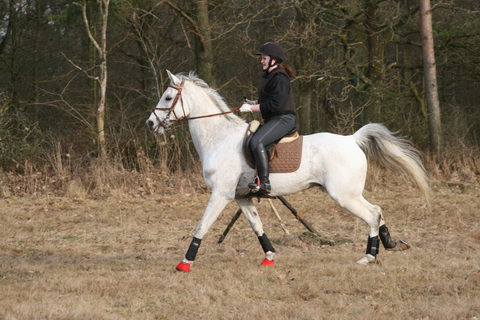 IMG_4670.JPG