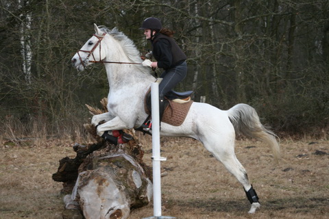 IMG_4681.JPG