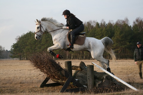 IMG_4734.JPG