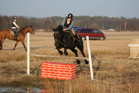 IMG_4766.JPG