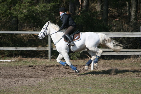 IMG_4947.JPG
