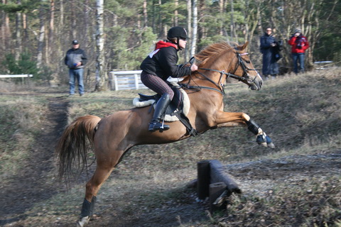 IMG_5350.JPG