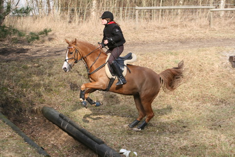 IMG_5366.JPG