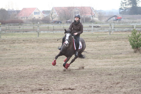 IMG_5377.JPG