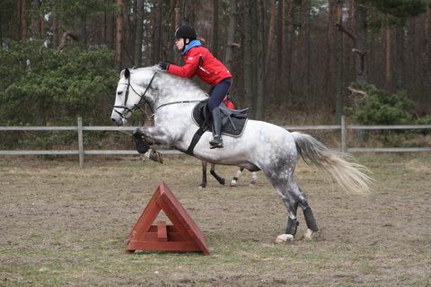 IMG_5533.JPG