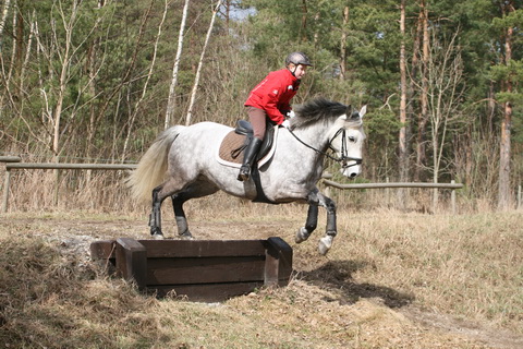 IMG_5553.JPG