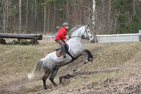 IMG_5598.JPG