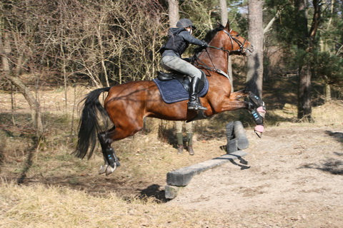 IMG_5676.JPG