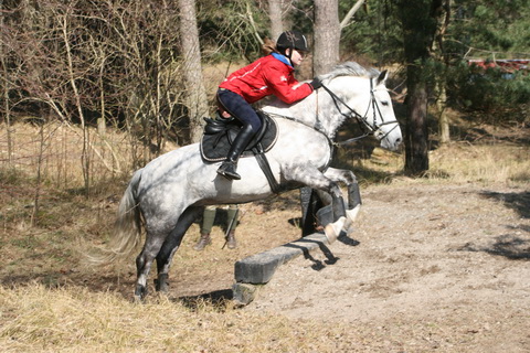IMG_5679.JPG