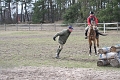 IMG_5185