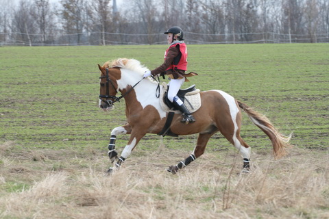 IMG_5860.JPG