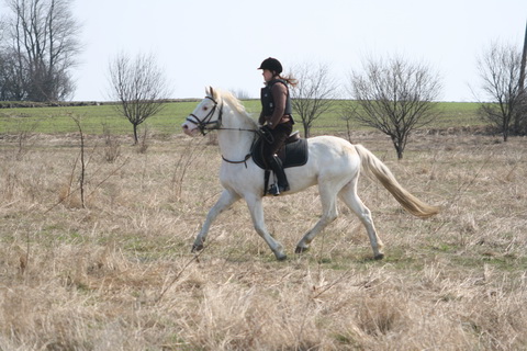 IMG_6101.JPG