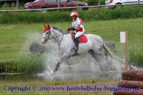 IMG_5846.JPG