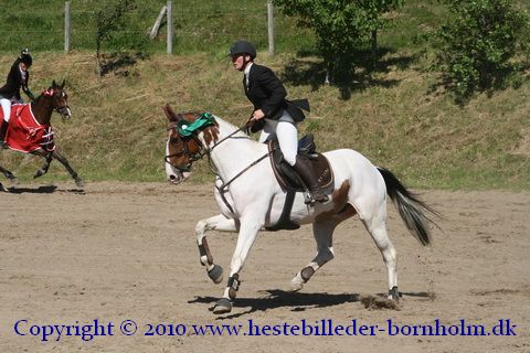 IMG_7338.JPG