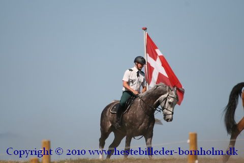 IMG_6681.JPG
