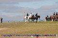 IMG_6587