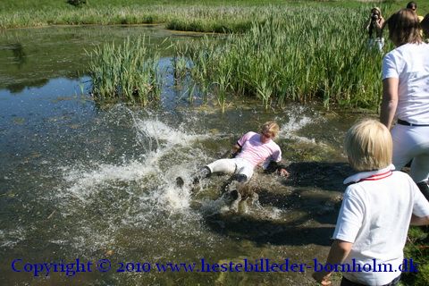 IMG_7371.JPG
