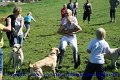 IMG_7377