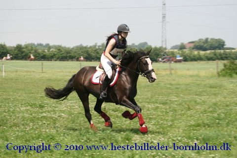 IMG_7826.JPG