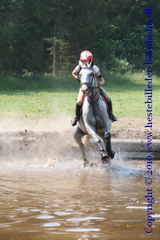 IMG_7906.JPG