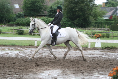 IMG_0195_resize.JPG