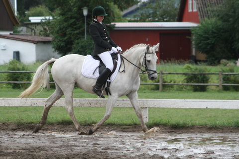 IMG_0207_resize.JPG