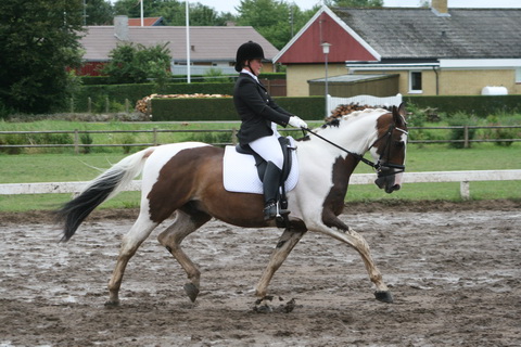 IMG_0243_resize.JPG