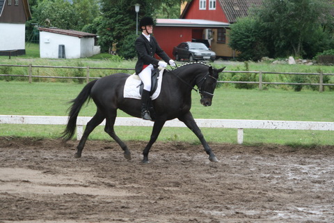 IMG_0343_resize.JPG