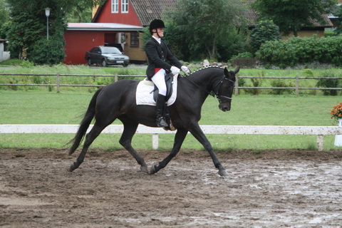 IMG_0344_resize.JPG