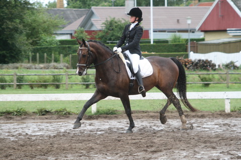 IMG_0379_resize.JPG