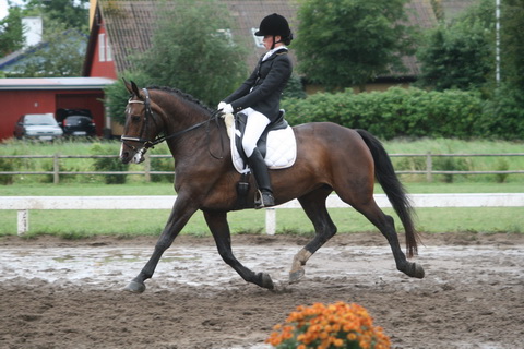 IMG_0382_resize.JPG