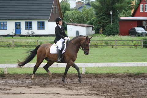 IMG_0406_resize.JPG