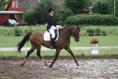 IMG_0408_resize.JPG