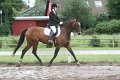 IMG_0230_resize
