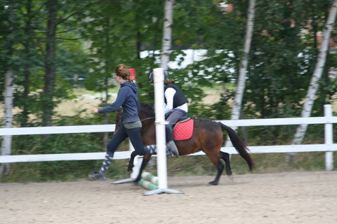 IMG_4597.JPG