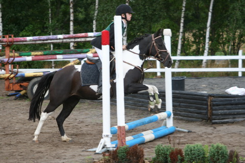 IMG_4660.JPG