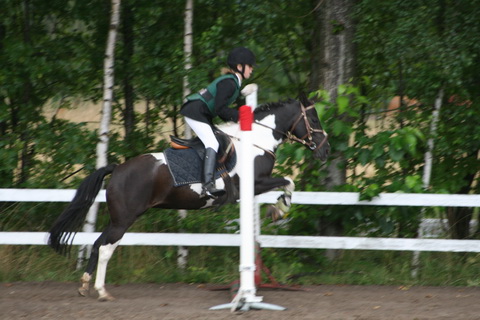 IMG_4663.JPG