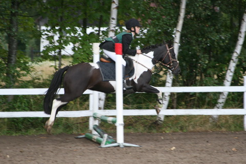IMG_4664.JPG