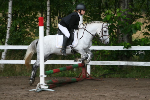 IMG_4681.JPG