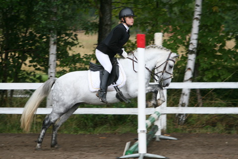 IMG_4682.JPG
