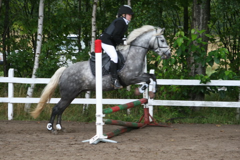 IMG_4688.JPG