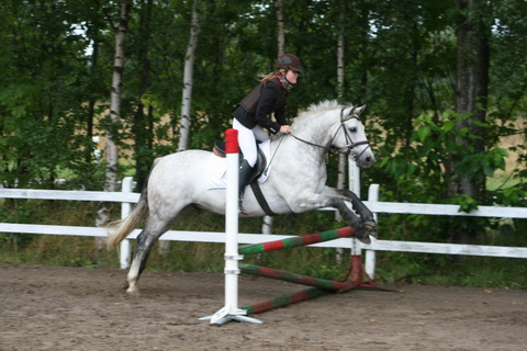IMG_4701.JPG